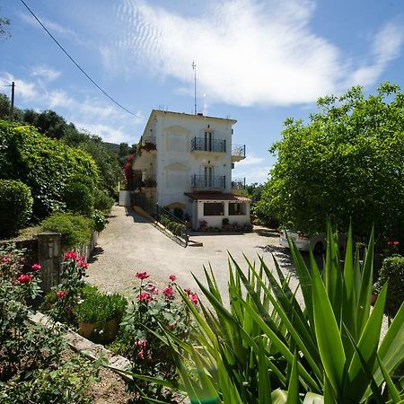 Agios Efrem Studios Πάργα Εξωτερικό φωτογραφία